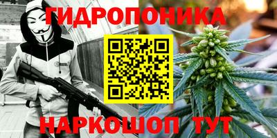 гидра Аргун